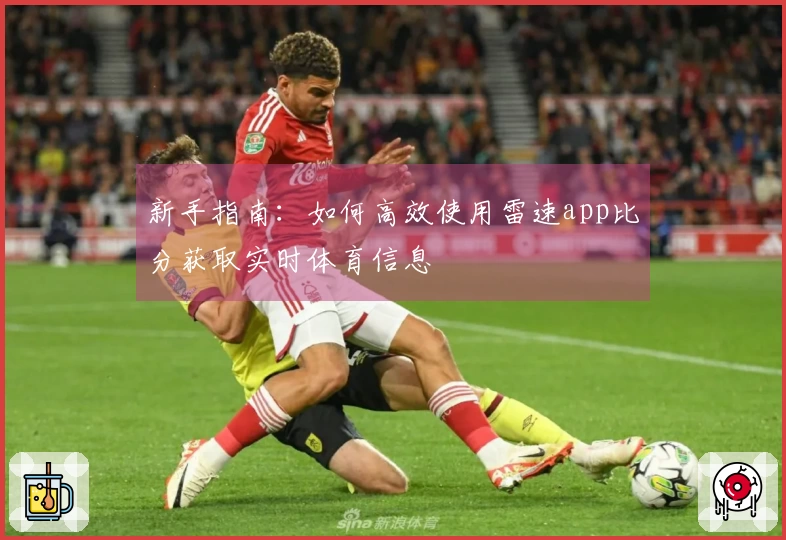 新手指南：如何高效使用雷速app比分获取实时体育信息