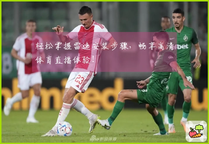 轻松掌握雷速安装步骤，畅享高清体育直播体验！